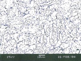 electrodes-emcotech-plate